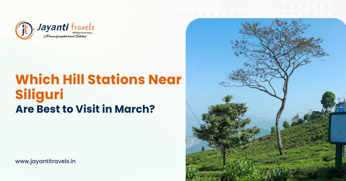 Which Hill Stations Near Siliguri Are Best to Visit in March?