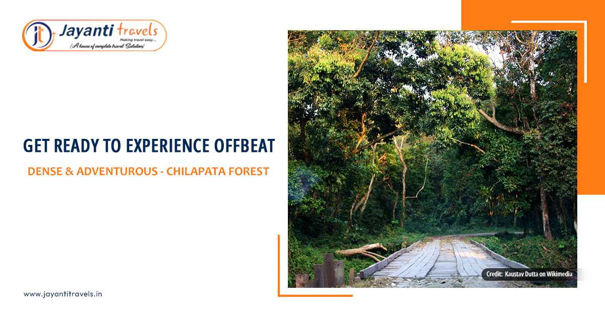 Chilapata Forest - Here Adventure Awaits For You At Everywhere