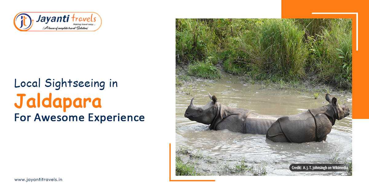 Fascinating Sightseeing Places to Visit Around Jaldapara