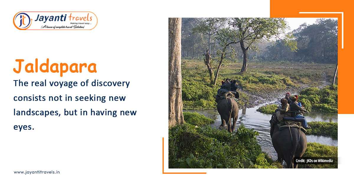 Jaldapara National Park - A Complete Tour Guide For Jungle Camp Lovers