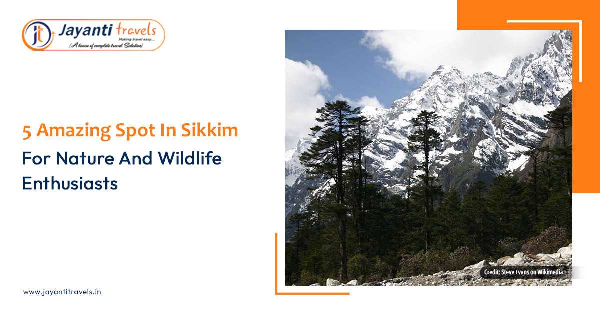 5 Amazing Spots In Sikkim For Nature And Wildlife Enthusiasts