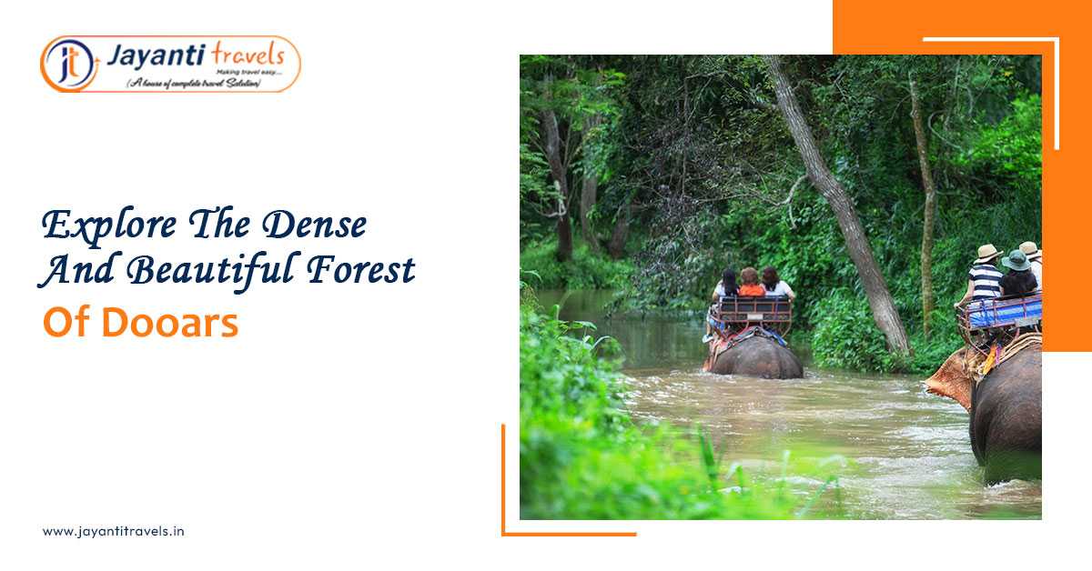 Explore The Dense And Beautiful Forests Of Dooars
