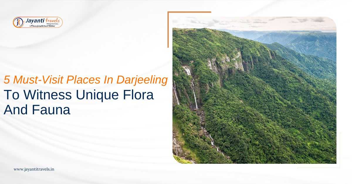 5 Must-Visit Places In Darjeeling To Witness Unique Flora And Fauna