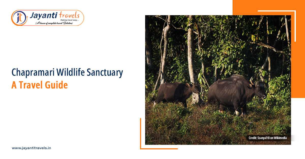 Getting to Chapramari Wildlife Sanctuary With Rental Car from Jayanti Travels