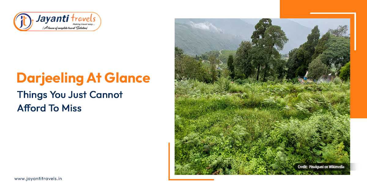 Darjeeling at Glance- Things You Just Cannot Afford To Miss