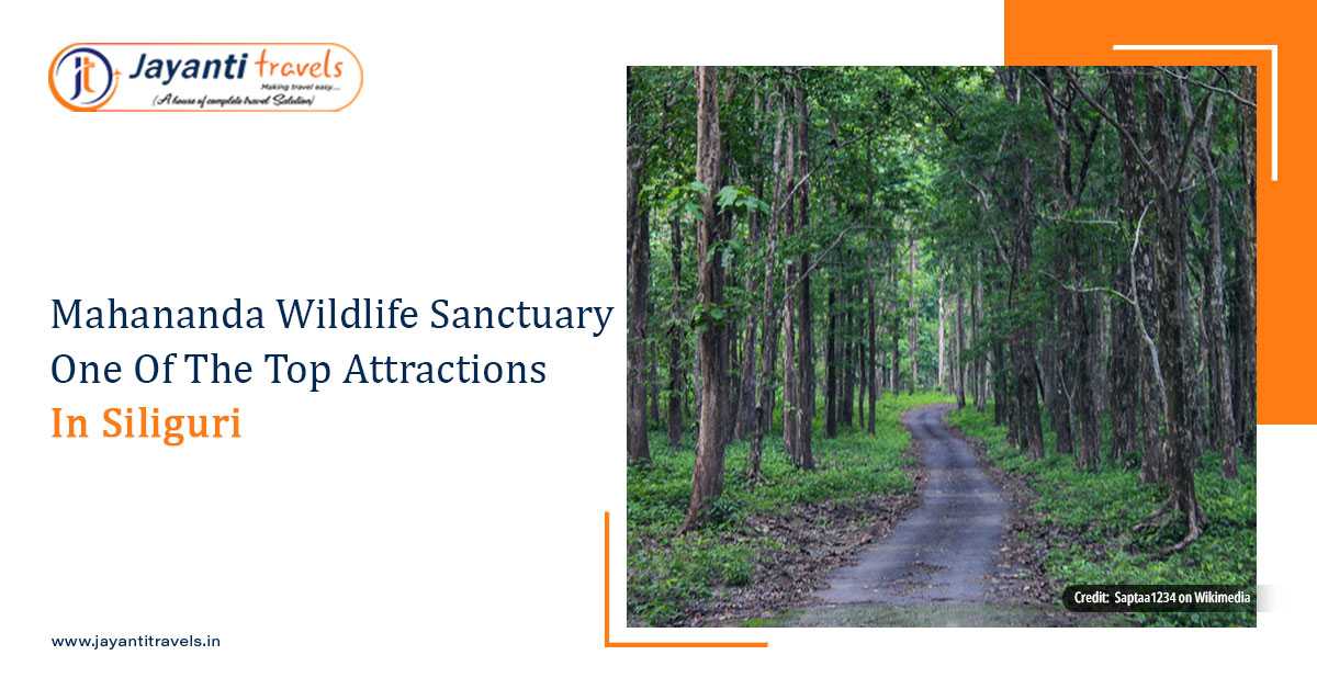 Mahananda Wildlife Sanctuary - Breathe Fresh Oxygen and Enjoy Your Best