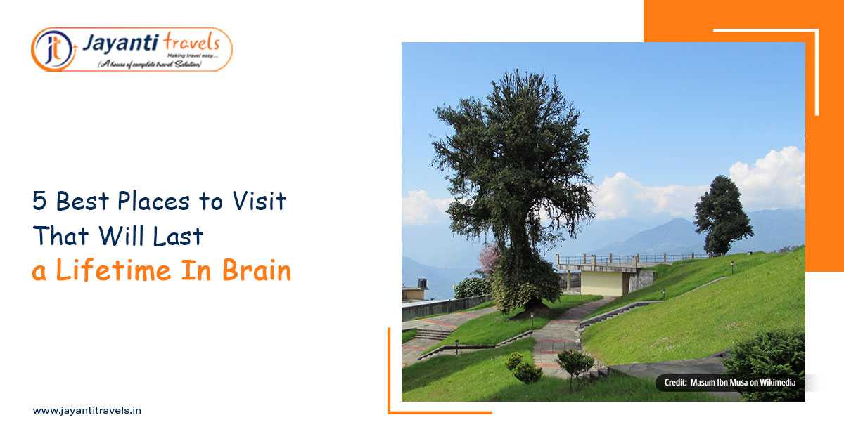 New Jalpaiguri - 5 Best Places to Visit That Will Last a Lifetime In Brain