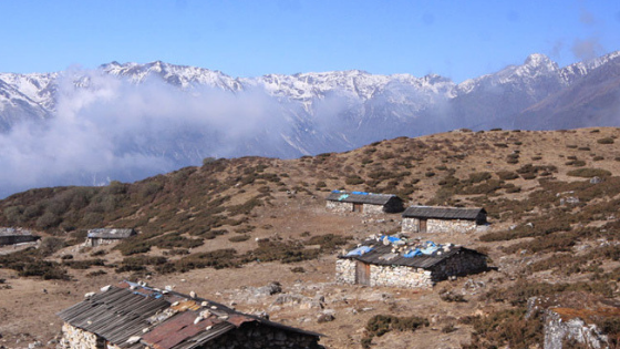 Dzongri Nambu Trek