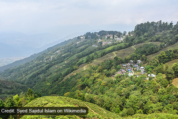 Darjeeling