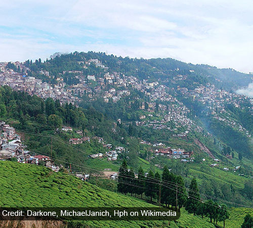 DARJEELING SIKKIM DELIGHT