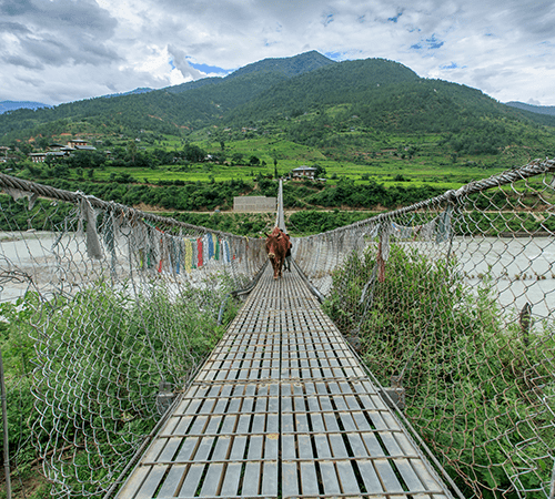 SWEET BHUTAN TOUR