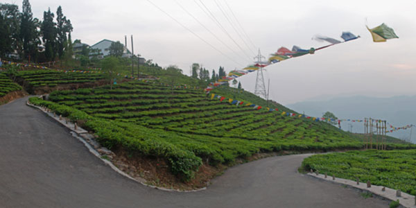 Kurseong